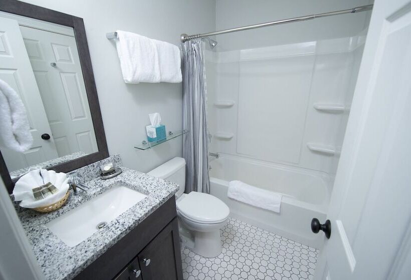 آپارتمان 3 خوابه, Winterplace On Okemo Mountain