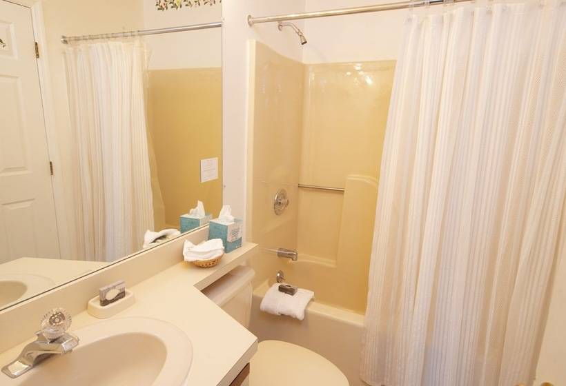 آپارتمان 3 خوابه, Winterplace On Okemo Mountain