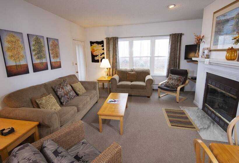 آپارتمان 3 خوابه, Winterplace On Okemo Mountain