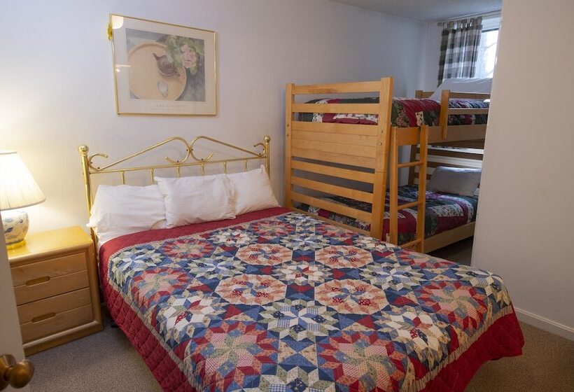 آپارتمان 3 خوابه, Winterplace On Okemo Mountain