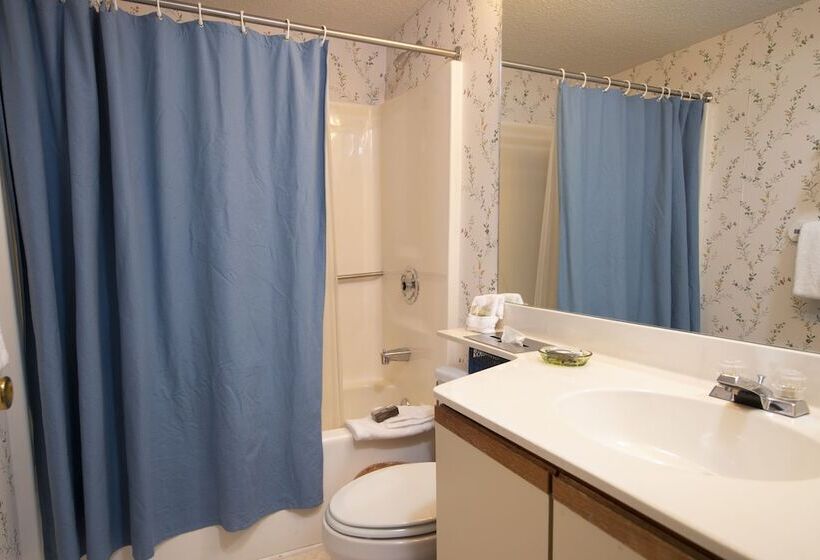 آپارتمان 2 خوابه, Winterplace On Okemo Mountain