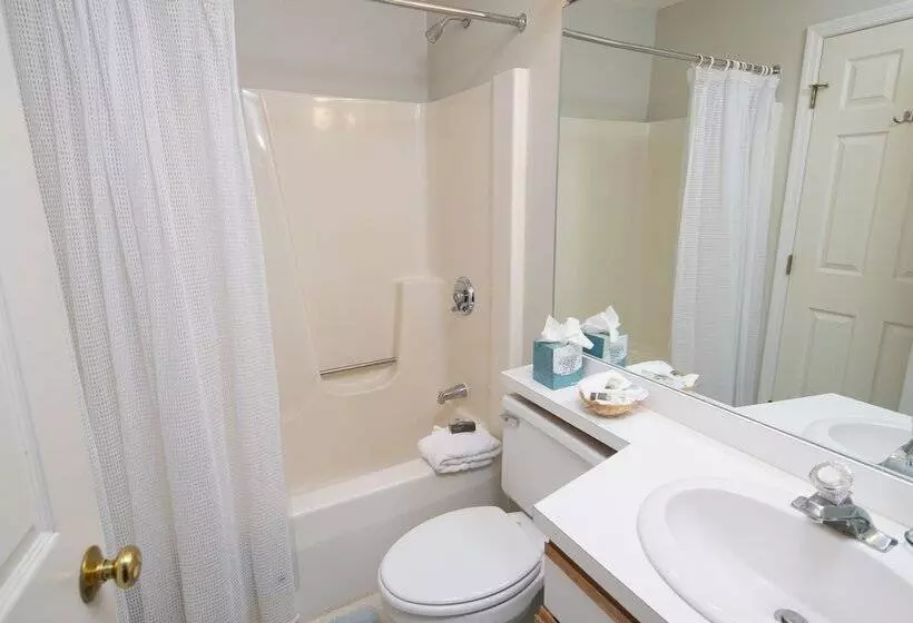2ベッドルームアパートメント, Winterplace On Okemo Mountain