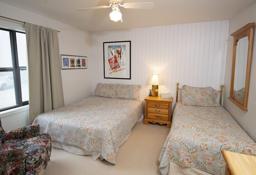 آپارتمان 2 خوابه, Winterplace On Okemo Mountain