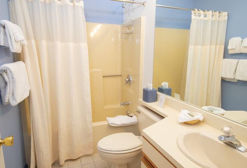 آپارتمان 2 خوابه, Winterplace On Okemo Mountain