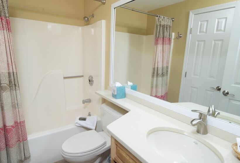 آپارتمان 2 خوابه, Winterplace On Okemo Mountain