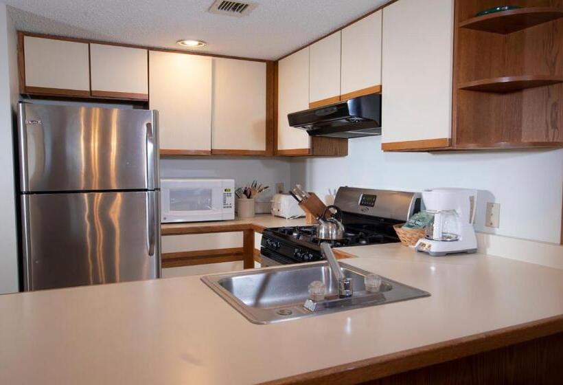 آپارتمان 2 خوابه, Winterplace On Okemo Mountain