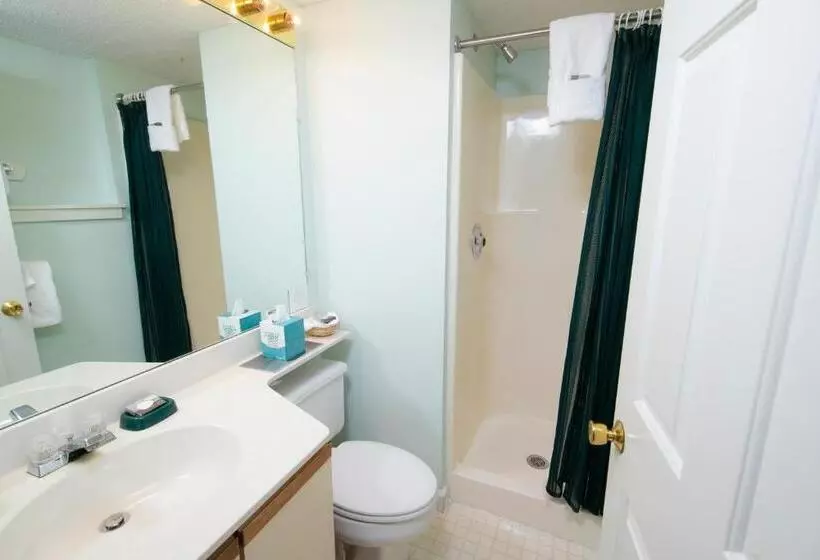 2ベッドルームアパートメント, Winterplace On Okemo Mountain