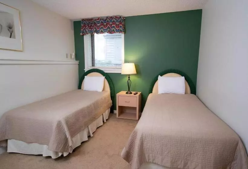 2ベッドルームアパートメント, Winterplace On Okemo Mountain