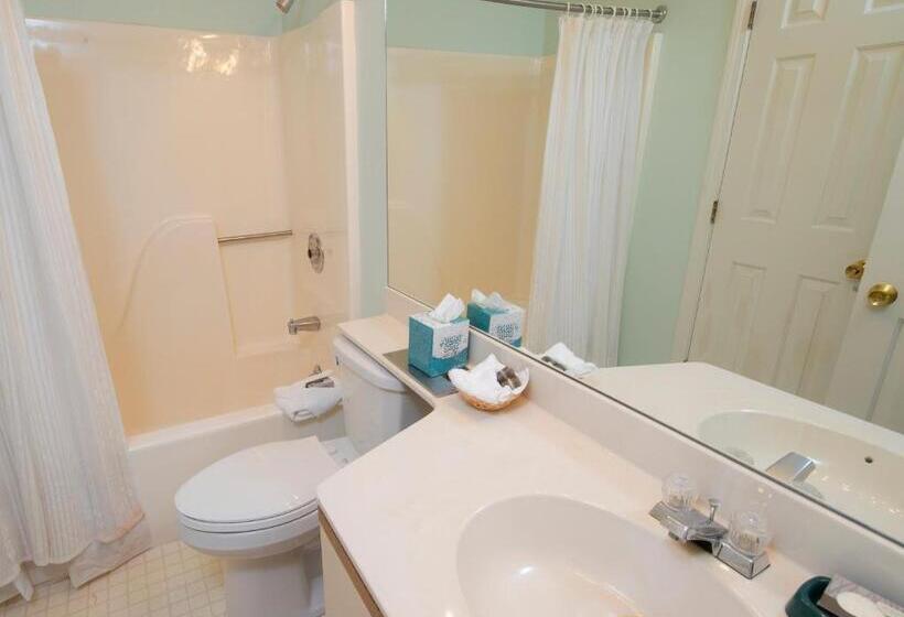 آپارتمان 2 خوابه, Winterplace On Okemo Mountain