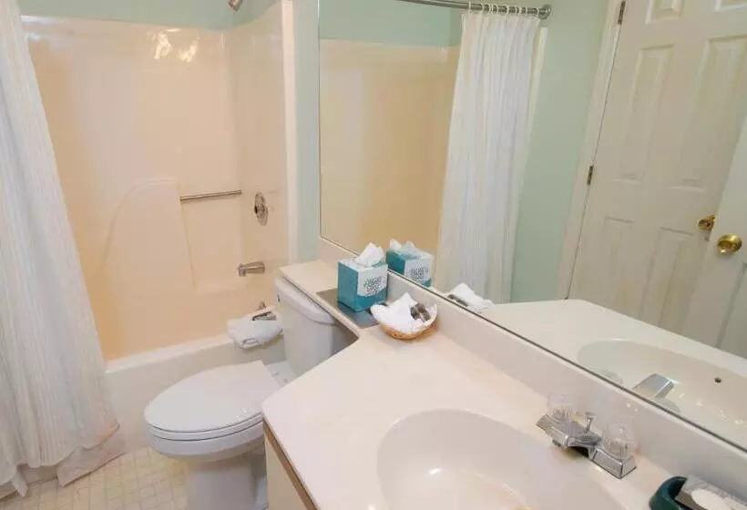 2ベッドルームアパートメント, Winterplace On Okemo Mountain