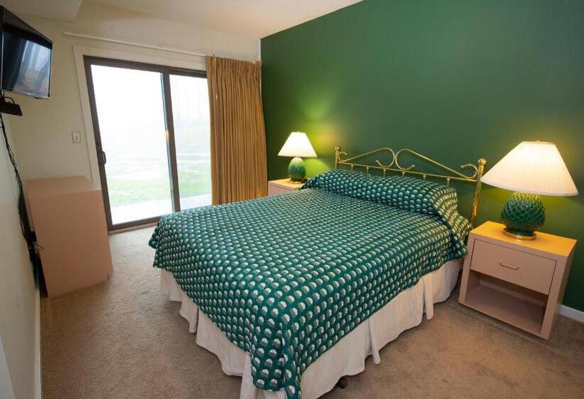 آپارتمان 2 خوابه, Winterplace On Okemo Mountain