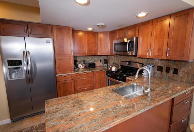 آپارتمان 2 خوابه, Winterplace On Okemo Mountain