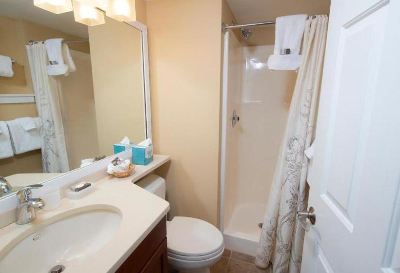 آپارتمان 2 خوابه, Winterplace On Okemo Mountain