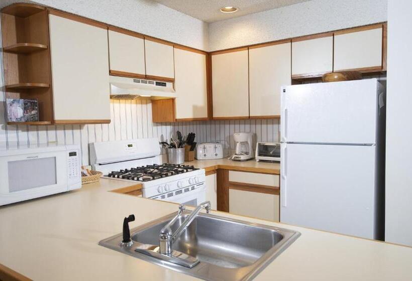 آپارتمان 3 خوابه, Winterplace On Okemo Mountain