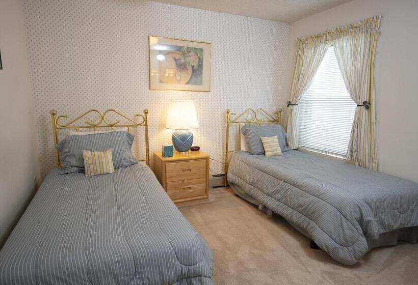 آپارتمان 3 خوابه, Winterplace On Okemo Mountain