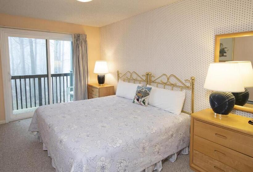 آپارتمان 3 خوابه, Winterplace On Okemo Mountain