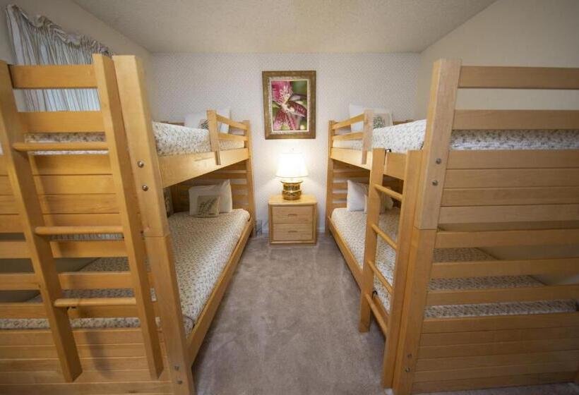 آپارتمان 3 خوابه, Winterplace On Okemo Mountain