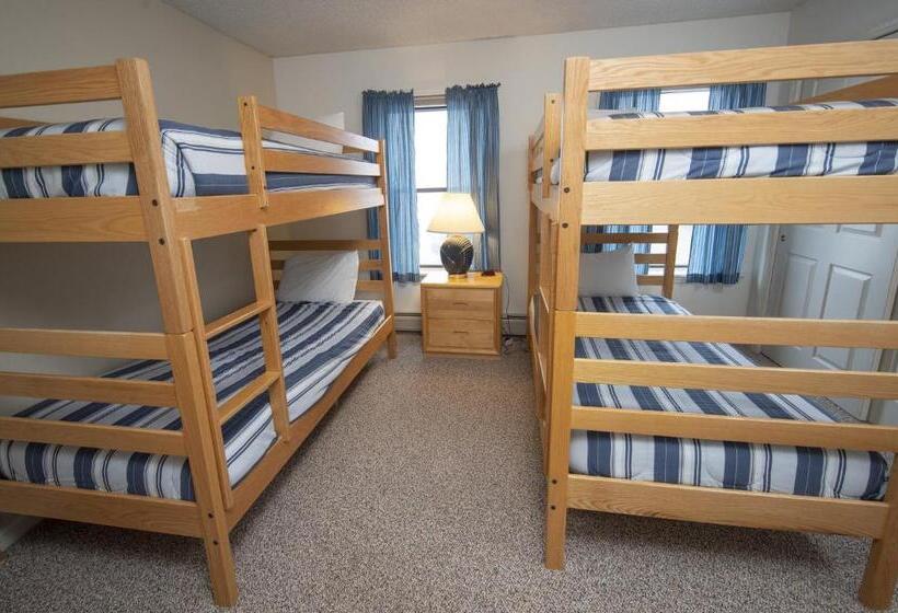 آپارتمان 3 خوابه, Winterplace On Okemo Mountain