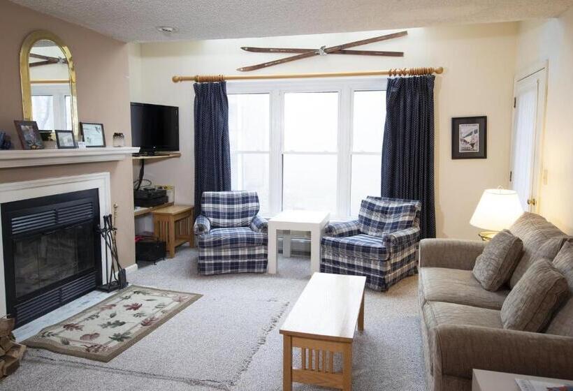 آپارتمان 3 خوابه, Winterplace On Okemo Mountain