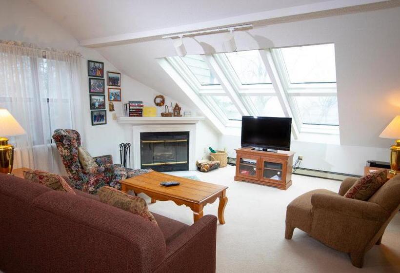 آپارتمان 1 خوابه, Winterplace On Okemo Mountain