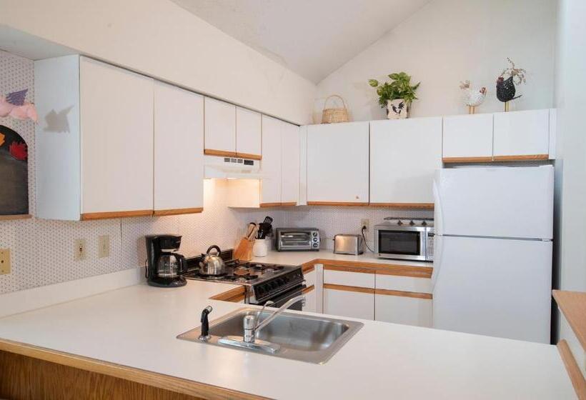 آپارتمان 1 خوابه, Winterplace On Okemo Mountain