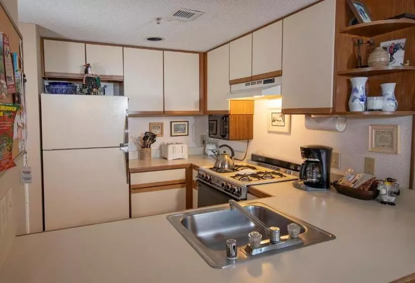 1ベッドルームアパートメント, Winterplace On Okemo Mountain