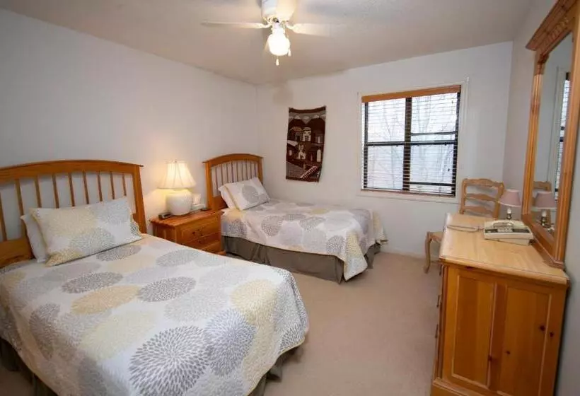 1ベッドルームアパートメント, Winterplace On Okemo Mountain
