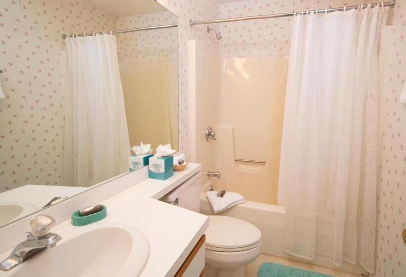 آپارتمان 1 خوابه, Winterplace On Okemo Mountain