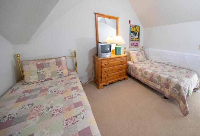 آپارتمان 1 خوابه, Winterplace On Okemo Mountain