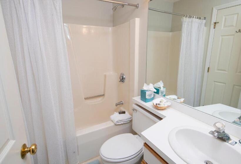 آپارتمان 1 خوابه, Winterplace On Okemo Mountain