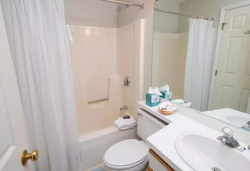 1ベッドルームアパートメント, Winterplace On Okemo Mountain