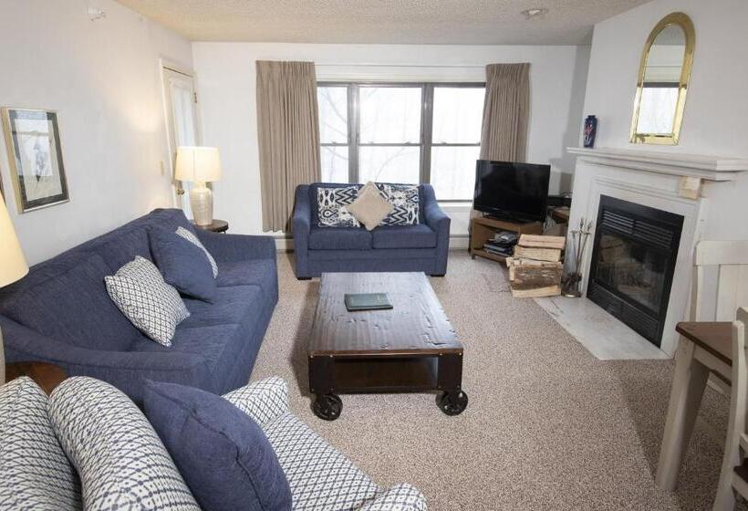 آپارتمان 3 خوابه, Winterplace On Okemo Mountain