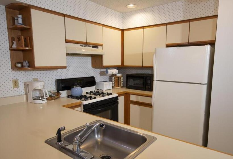 آپارتمان 3 خوابه, Winterplace On Okemo Mountain