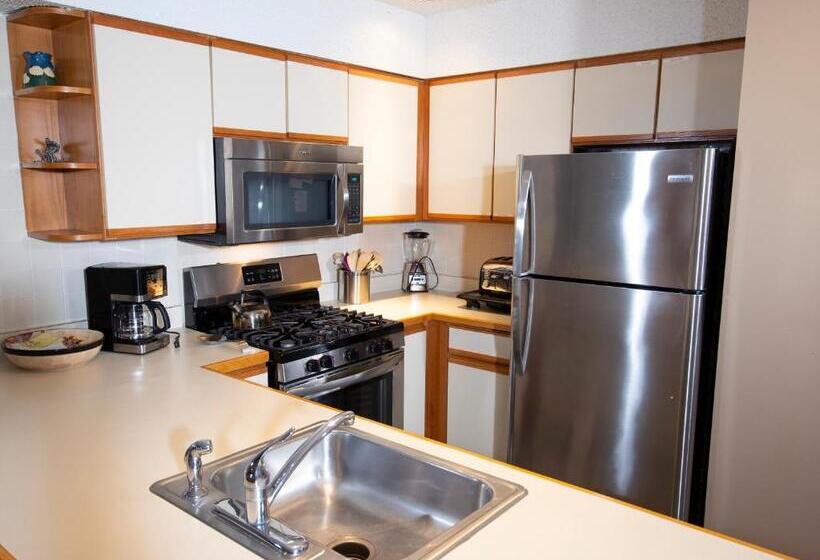 آپارتمان 3 خوابه, Winterplace On Okemo Mountain