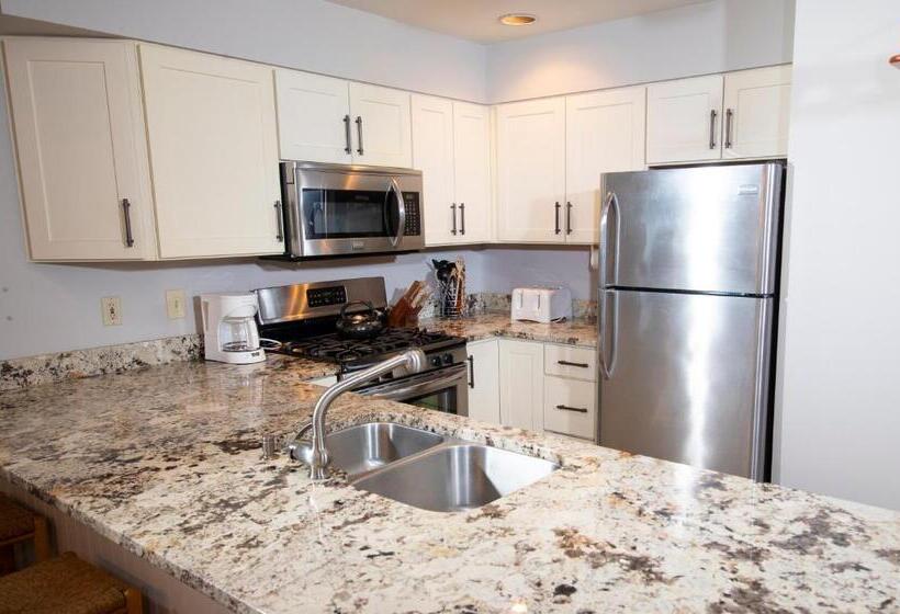 آپارتمان 3 خوابه, Winterplace On Okemo Mountain