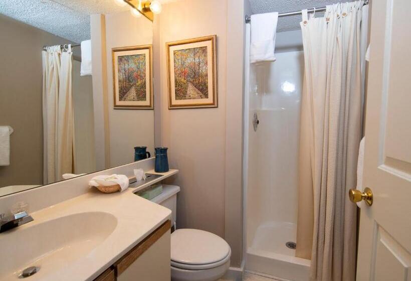 آپارتمان 1 خوابه, Winterplace On Okemo Mountain