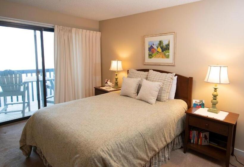 آپارتمان 1 خوابه, Winterplace On Okemo Mountain