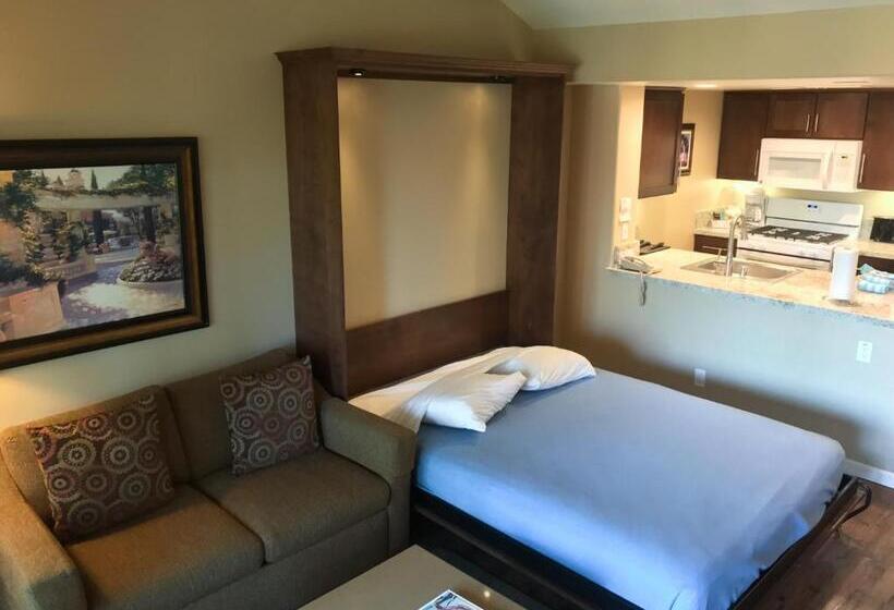 Студия Стандарт, The Oasis Resort