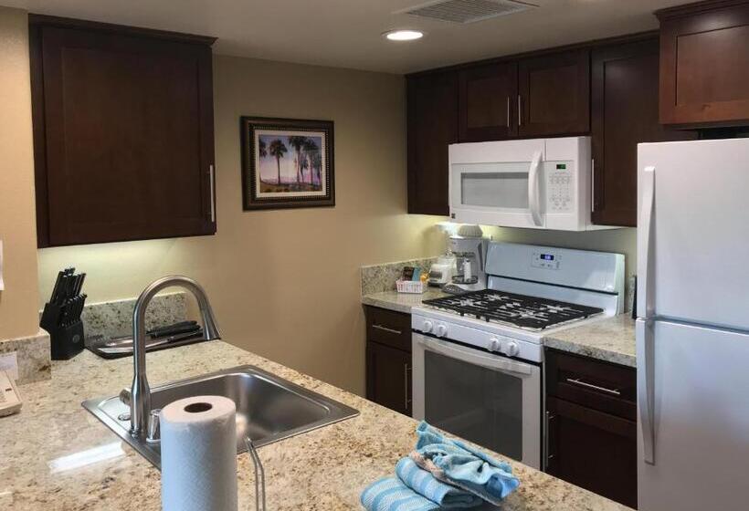 Студия Стандарт, The Oasis Resort