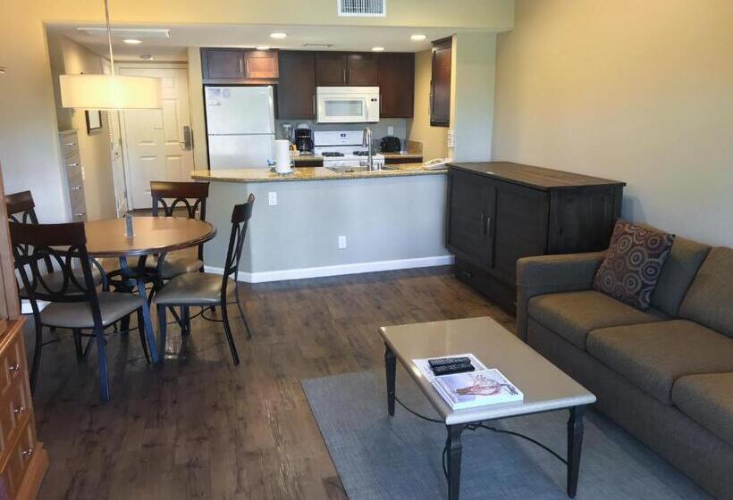 Апартаменты 1 Спальня, The Oasis Resort