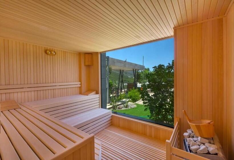 ویلای لوکس 1 خوابه, Alya Sierra Villa