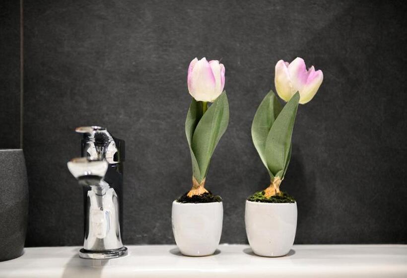 غرفة سوبيريور, Dream House Pompei