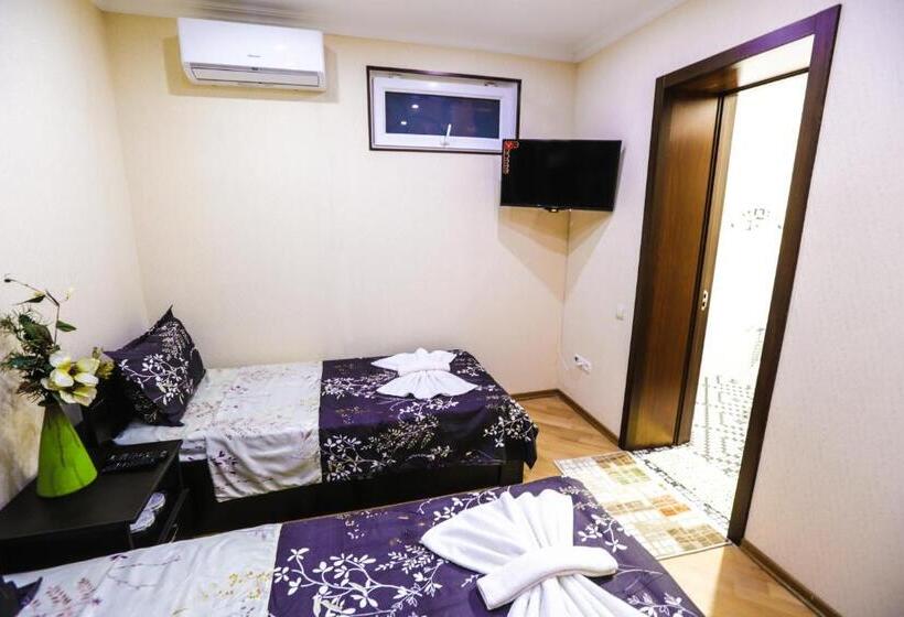 اتاق استاندارد, S.r