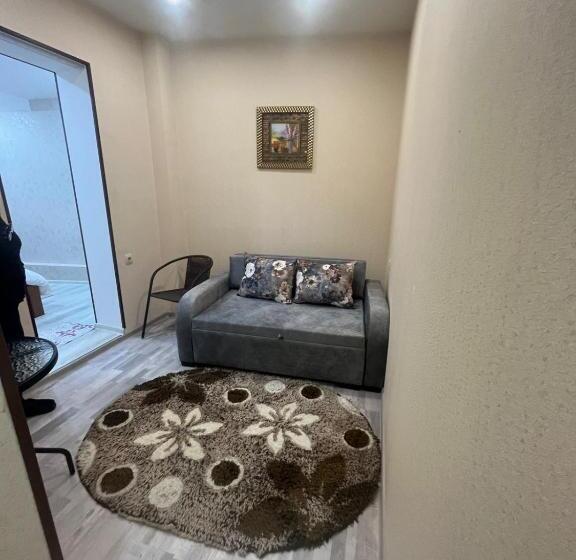 استودیو استاندارد با تخت کینگ, S.r