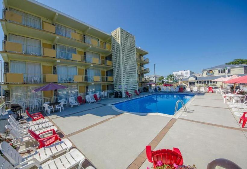 스탠다드 트리플 룸, Landmark Motel