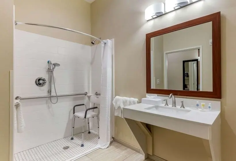 Sviitti Liikuntarajoitteisille, Comfort Suites Greensboro High Point