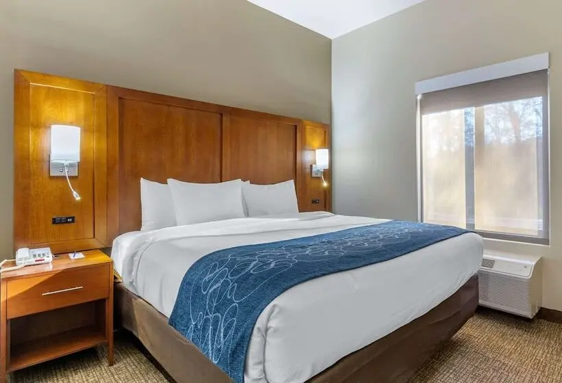 Sviitti Liikuntarajoitteisille, Comfort Suites Greensboro High Point