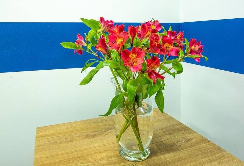 اتاق لوکس, P2b Hostel & Bar