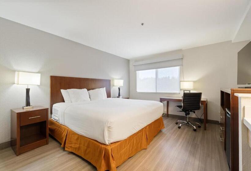 غرفة قياسية سرير كينج, Best Western Lake Oswego Hotel & Suites