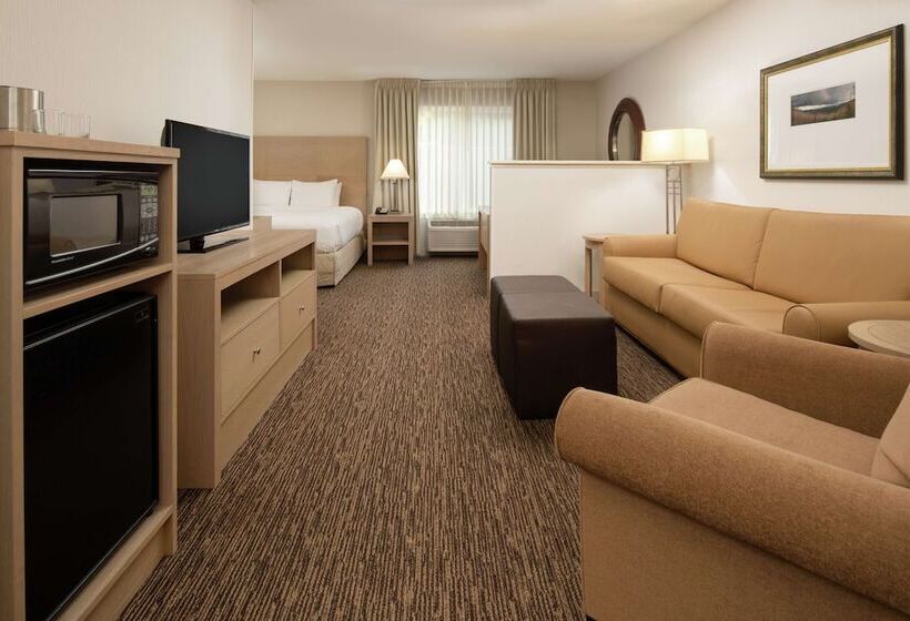 Полулюкс Кровать Кинг, Doubletree By Hilton Portland Tigard